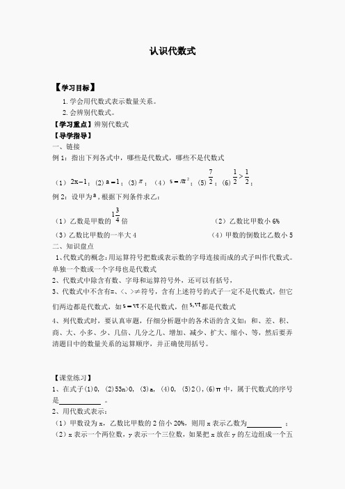 【学案】认识代数式(2)