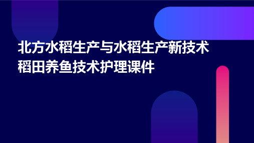 北方水稻生产 水稻生产新技术稻田养鱼技术护理课件