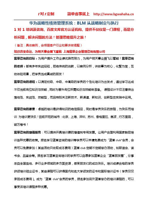 《华为战略性绩效目标管理系统：BLM从战略制定与执行》