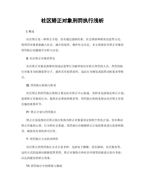 社区矫正对象刑罚执行浅析