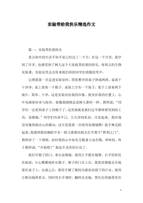 实验带给我快乐精选作文