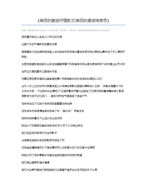 美丽的邂逅抒情散文美丽的邂逅啥意思