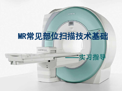 MR常见部位扫描技术基础