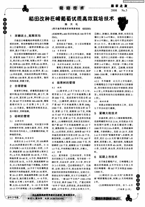 稻田改种巨峰葡萄优质高效栽培技术