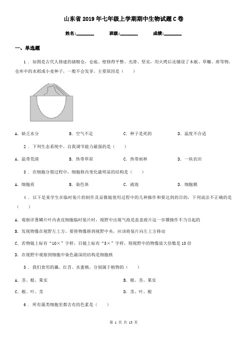 山东省2019年七年级上学期期中生物试题C卷