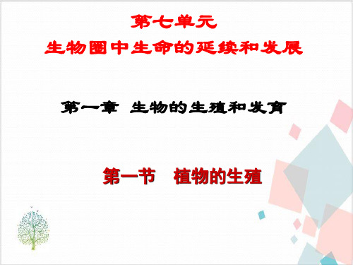 《生物的生殖和发育》_精美课件