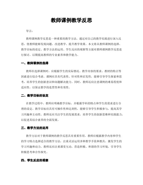 教师课例教学反思