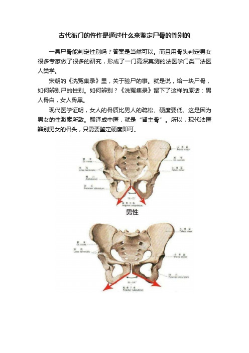 古代衙门的仵作是通过什么来鉴定尸骨的性别的