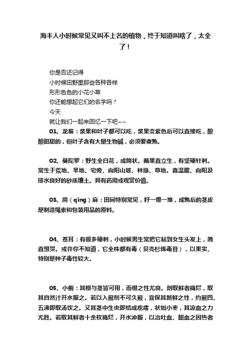 海丰人小时候常见又叫不上名的植物，终于知道叫啥了，太全了！