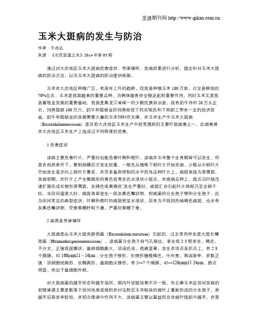 玉米大斑病的发生与防治