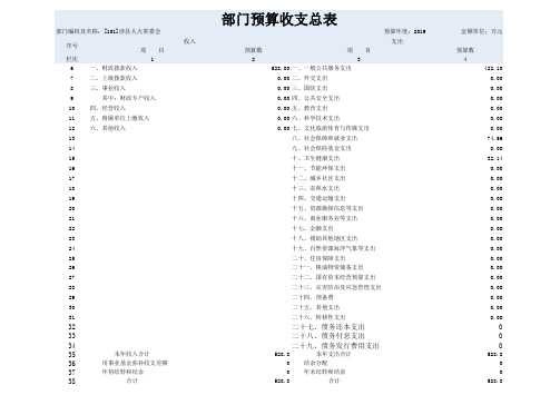 部门预算收支总表