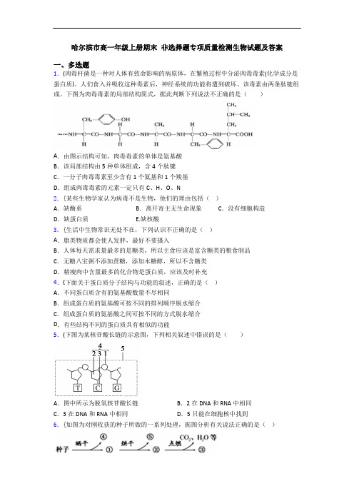 哈尔滨市高一年级上册期末 非选择题专项质量检测生物试题及答案