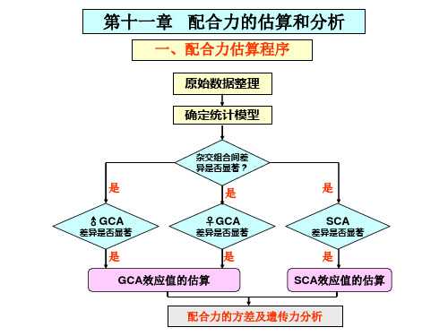 第十一章 配合力的估算和分析