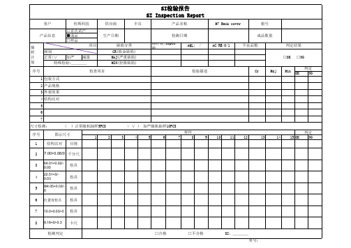 SI检验报告