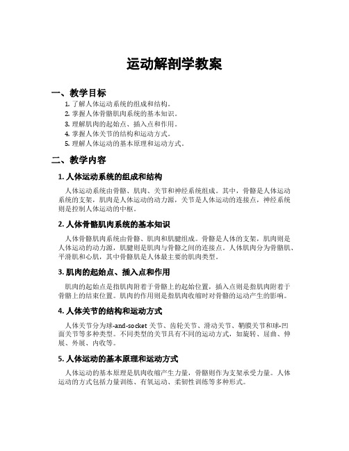 运动解剖学教案