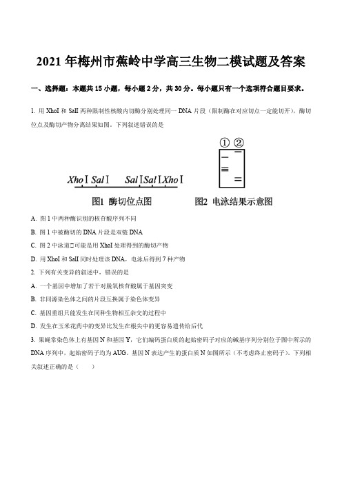 2021年梅州市蕉岭中学高三生物二模试题及答案