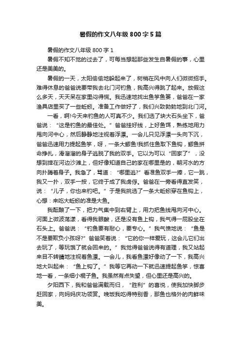 暑假的作文八年级800字5篇