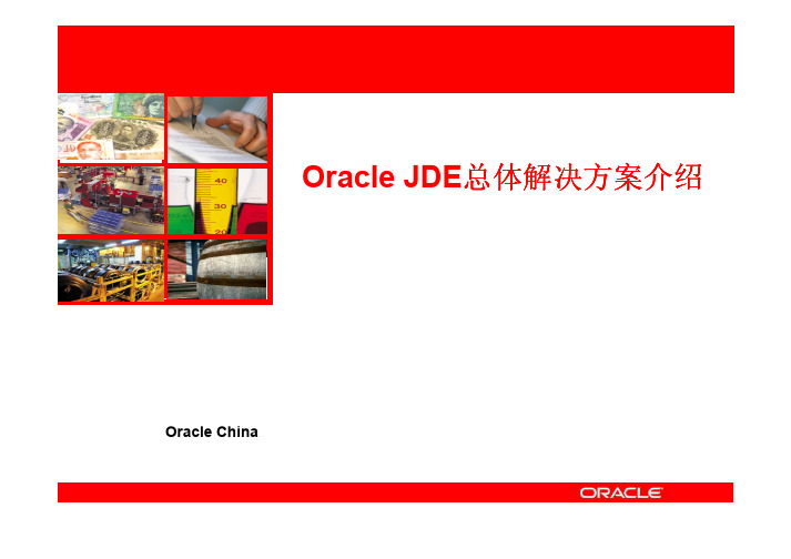 Oracle JDE总体解决方法新