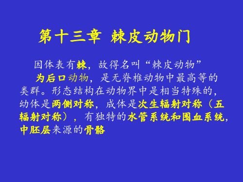 动物学教学课件：第十三章 棘皮动物门