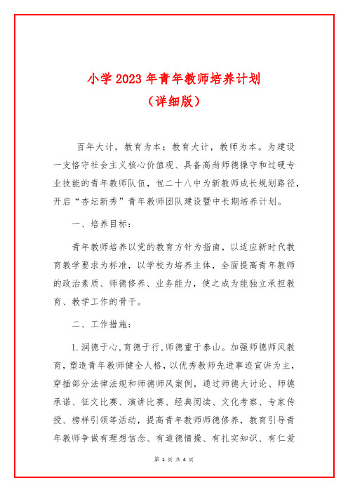 小学2023年青年教师培养计划(详细版)