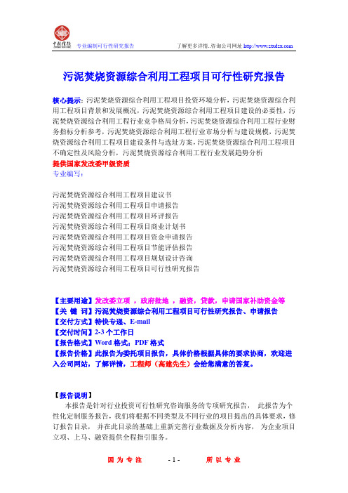 污泥焚烧资源综合利用工程项目可行性研究报告