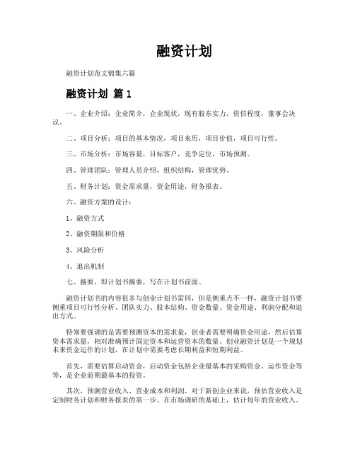 融资计划-专业文档!