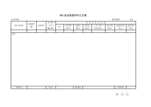 HSE检查评分表(兰)