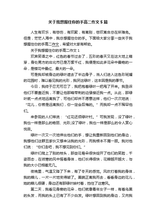 关于我想握住你的手高二作文5篇