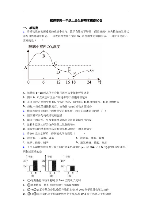 威海市高一年级上册生物期末模拟试卷