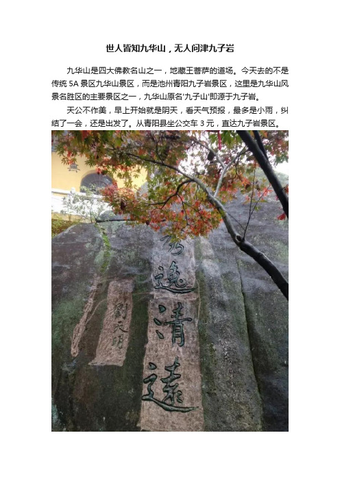 世人皆知九华山，无人问津九子岩