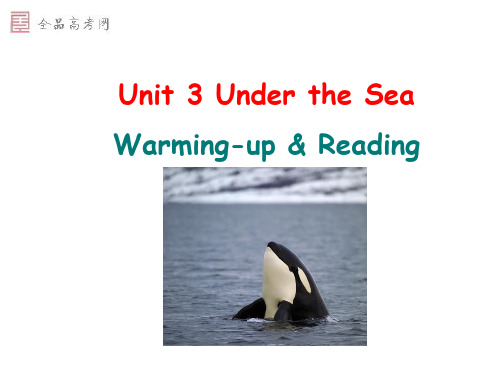 人教新课标选修7unit3warming up and reading课件