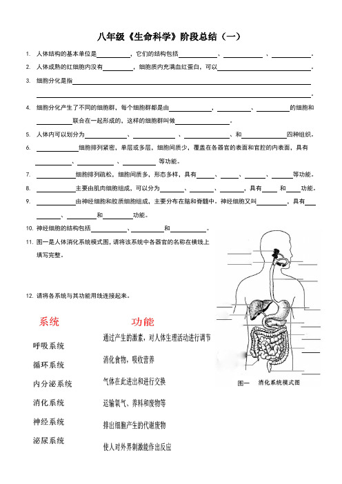 沪教版八年级生命科学阶段性总结