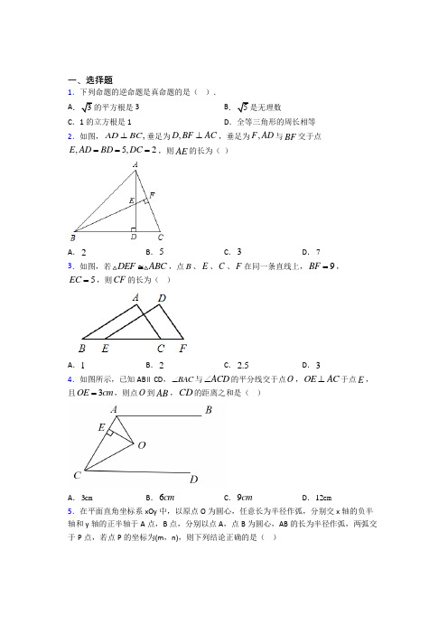 南阳市八年级数学上册第十二章《全等三角形》经典练习卷(培优专题)(1)