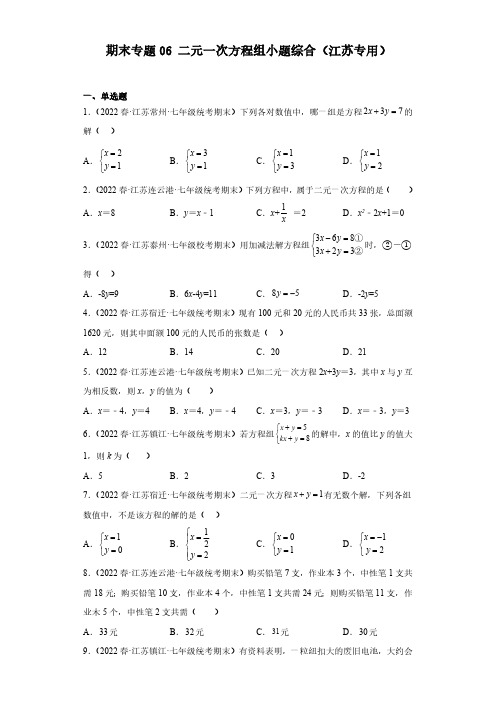  二元一次方程组小题综合