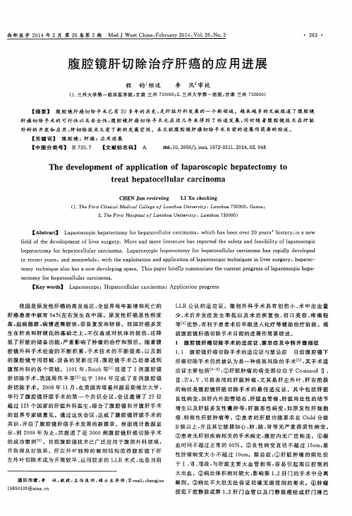 腹腔镜肝切除治疗肝癌的应用进展