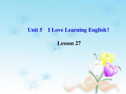 冀教初中英语七下《Lesson 27 Amazing English》PPT课件 (2)