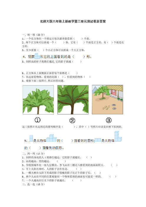 北师大版六年级上册数学第三单元测试卷及答案