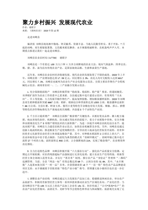 聚力乡村振兴 发展现代农业