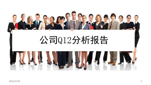 Q12分析报告PPT精选文档