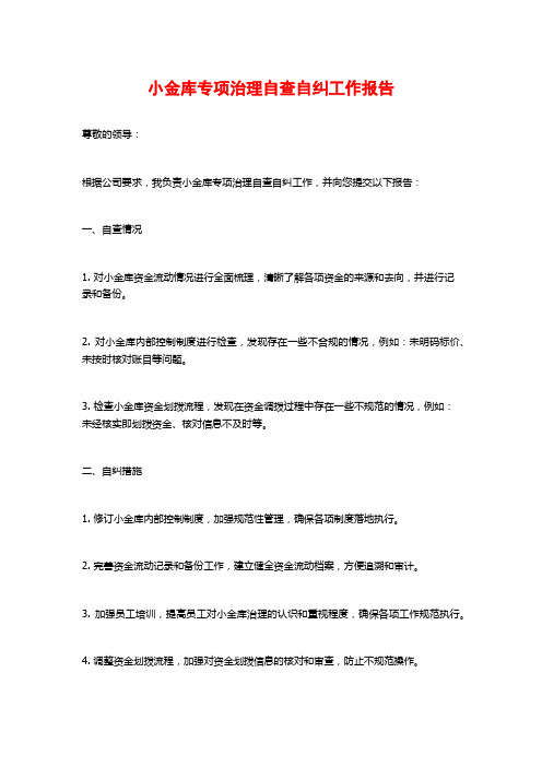 小金库专项治理自查自纠工作报告