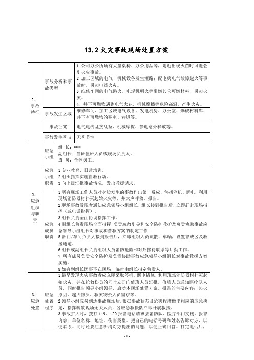 火灾事故现场处置方案(2013新导则)