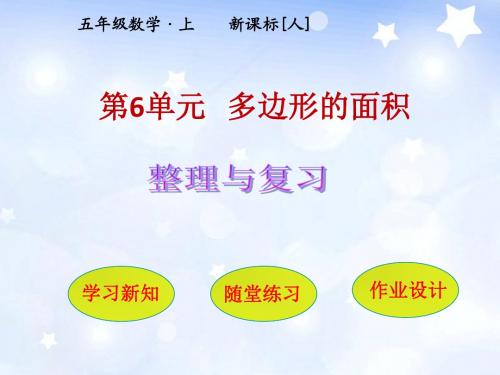 【人教版五年级上册】第6单元 多边形的面积整理和复习