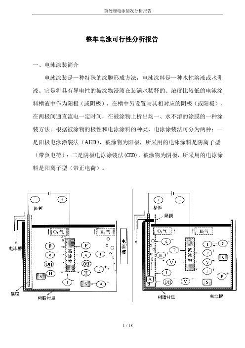 前处理电泳情况分析报告