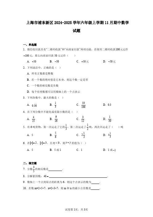 上海市浦东新区2024-2025学年六年级上学期11月期中数学试题