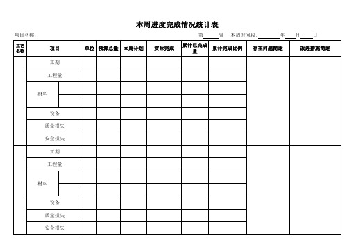 项目周报(进度及材料统计表)