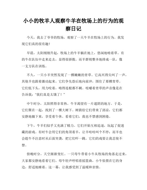 小学三年级作文小小的牧羊人观察牛羊在牧场上的行为的观察日记