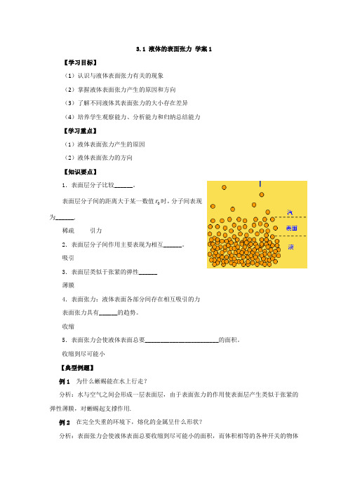 高二物理选修学案：《液体的表面张力》