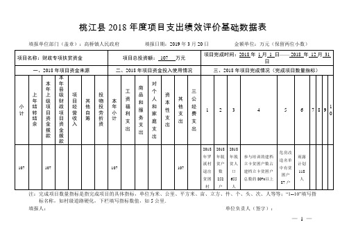 桃江县2018年度项目支出绩效评价基础数据表