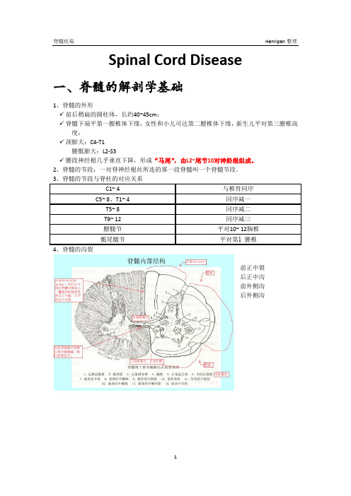 脊髓病诊断与鉴别诊断