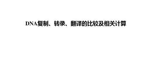 DNA复制、转录、翻译的比较及相关计算 课件